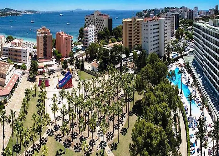 Sol Palmanova Mirlos Tordos