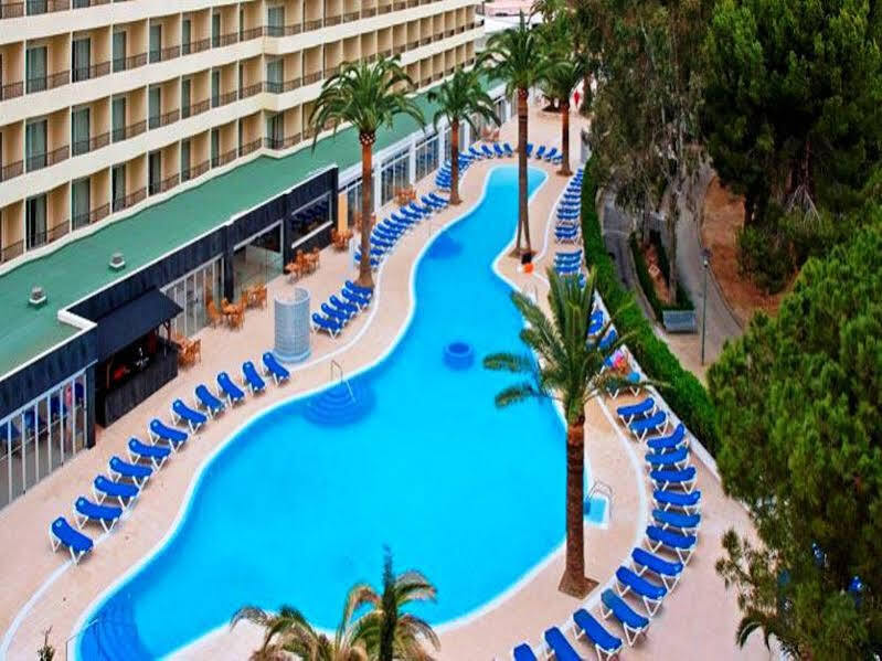 Sol Palmanova Mirlos Tordos Hotel 3*