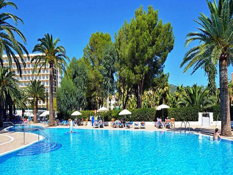 Sol Palmanova Mirlos Tordos Hotel Magaluf (Mallorca)