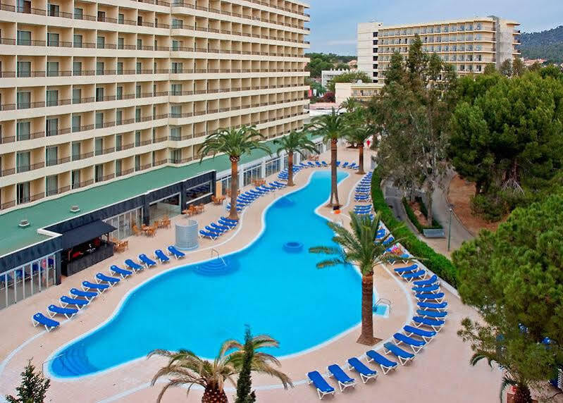 Hotel Sol Palmanova Mirlos Tordos 3*